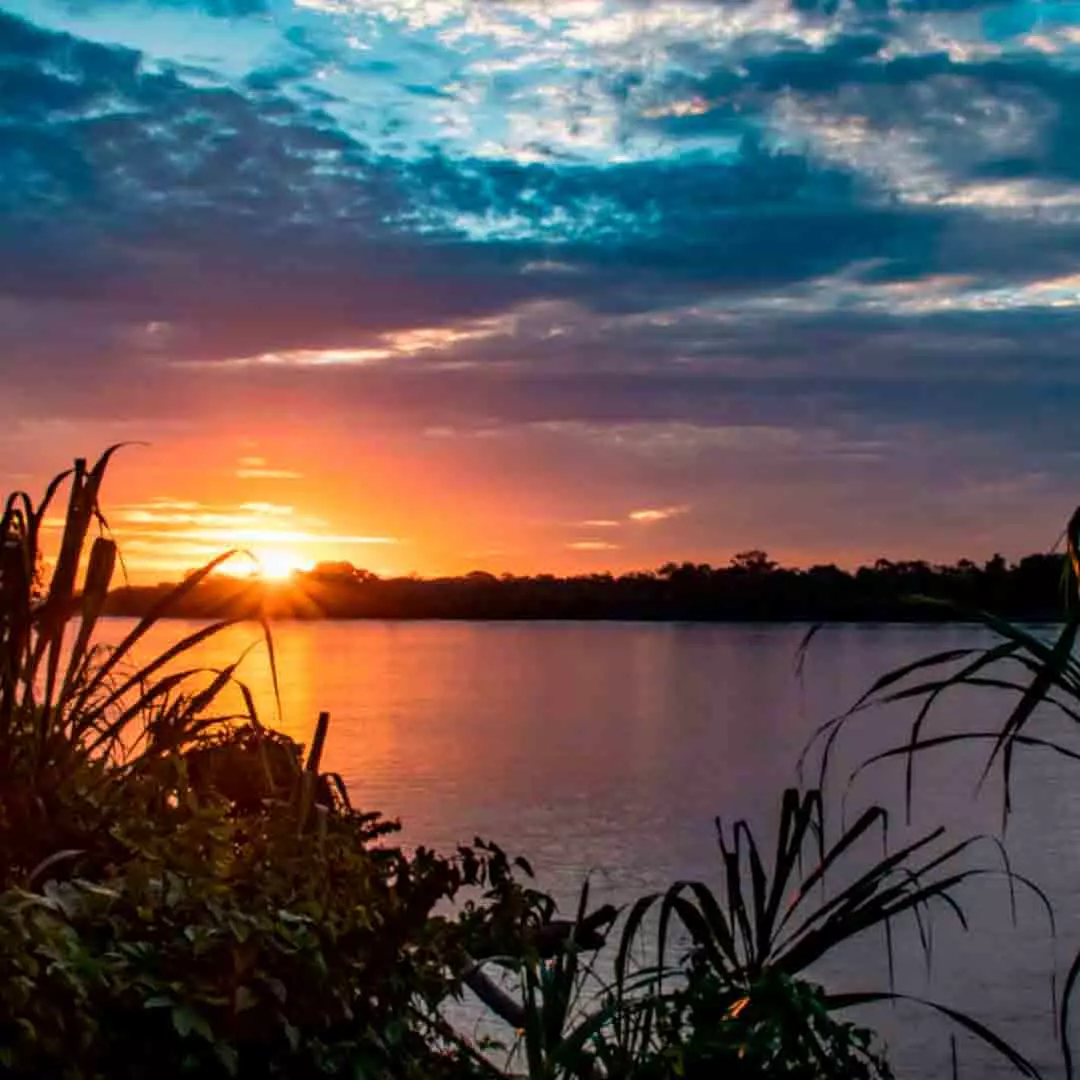  RESERVA DE TAMBOPATA 