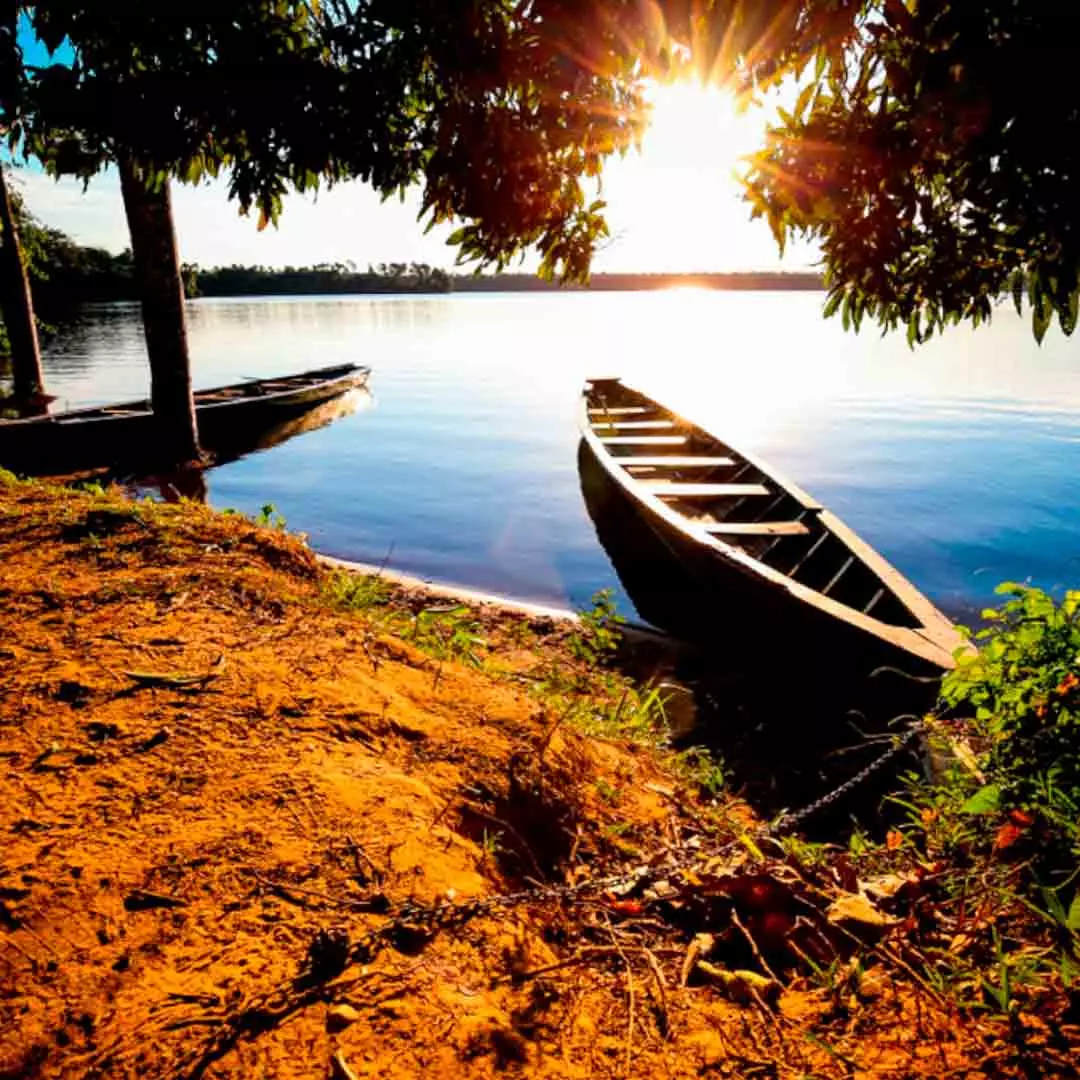  RESERVA DE TAMBOPATA 
